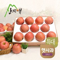 [산지애] [2023햇사과] 알뜰 못난이사과(대과) 4kg 2box, 상세 설명 참조