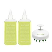 스팀베이스 티트리 두피 스케일러 250ml X 2 + 브러쉬, 1개
