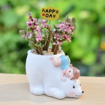 ROOGO 루고 화분 소녀와 동물친구들 북극곰