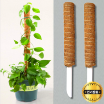 1+1 수태봉 몬스테라 곰팡이방지 연결형 식물지지대 코코봉 50cm, 수태봉 50cm (총 2개)