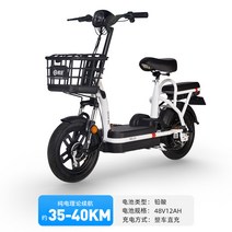 자전거 도매 충전식 제주도 강릉 동해 전기바이크 라이더 스쿠터 2인 모빌리티, A. 화이트_12AH