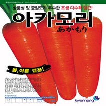 솔림텃밭몰 당근씨앗 400립 아카모리 봄 여름 당근씨 코팅씨앗