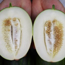 고당도 파파야메론 3kg (5-9과)