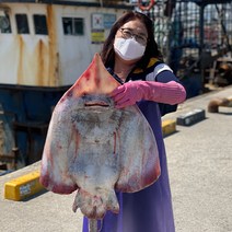 흑산도 홍어 국내산 홍어국산 1kg 500g, 국산500g(강)