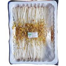 황금 메밀순 500g