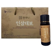 한뿌리 인삼대보 100ml x10병 x1set CJ제일제당 탄산 맛있는 이온 시럽 음료 페트