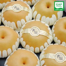 초록사랑 명품나주배 선물용고급포장 GAP인증, 1개, 7.5kg[7~8과]