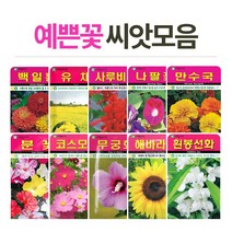 고급 꽃씨 씨앗키우기 꽃씨앗 플라워씨드, (고급꽃씨)수세미25립