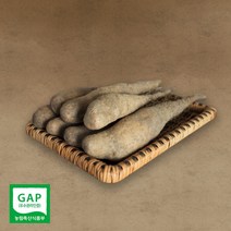 태나농장 우수농작물 마 산마 참마 산약 생마 햇마 3kg 5kg, 산마 중품 5kg, 1개