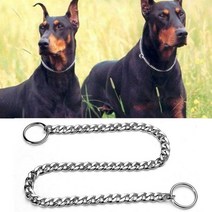 대형견 진돗개 개 체인줄 스텐 리드줄 체인 블랙 초크 애완 소형 중형 대형, 2.0mm x 40cm, 은