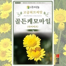 골든 케모마일 씨앗 1g / 다이어즈 다년생 고급 허브씨 허브씨앗 카모마일 다농