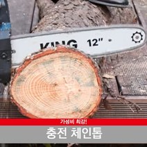 킹 충전 체인톱 12인치 JMC20V-300P, 충전 체인톱 주피터배터리2개세트