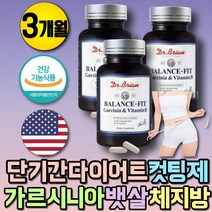 약 3개월 체지방 살빼는 방법 하체 뱃살 다이어트 HCA 한달 7일 단기간 다이어트 뱃살빼는식품 허리살 팔뚝살 빼기 내장지방 피하지방 복부 하복부 똥배빼는법 예신 허벅지살빼는법