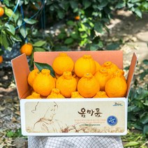 [옴마품]특고당도 제주 한라봉 4.5kg소과(20-30)