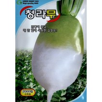 (씨앗) 청라무 - 뿌리가 맜있는 김장무 씨앗 종자 - 가을무 - 2천립, 1개