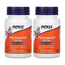나우푸드 피크노제놀 100mg 60캡슐 프랑스 해안송 소나무 껍질 2통, 60정, 1개