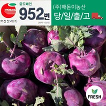 <해돋이농산> 국내산 제주 콜라비 적콜라비 3kg 5kg 10kg경매장에 알이 크기에 싸게 나왔습니다.” class=”wr-img”></a></div></p></div></p></div></p></div><div class=