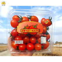[쥬시맨] 달다! 과즙폭발 스테비아 대추 방울토마토 스윗마토 레드&블랙 500g 1kg 1.5kg 2kg, 블랙 스윗마토 1.5kg (500g x 3팩)
