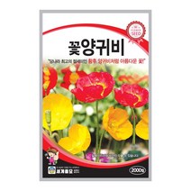 모칸도 (무배)세계 꽃양귀비 꽃씨 2000립