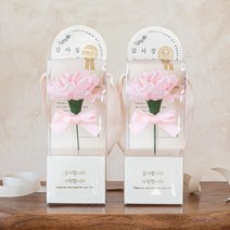 뷰티풀데코센스 한송이 카네이션 감사장, 핑크