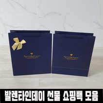 발렌타인데이 선물쇼핑백 스페셜 종이가방 10장 답례품 선물용 고급쇼핑백 인기만점 종이선물가방, 발렌타인데이 선물쇼핑백 스페셜 종이가방 네이비 10장