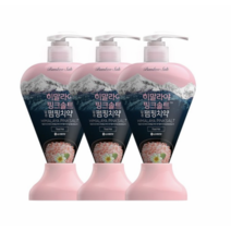 죽염 히말라야 핑크솔트 담은 펌핑 치약 플로럴민트, 3개, 285g