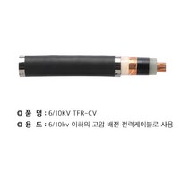 WM TFR-CV 6.10KV 70SQ * 1C(고압) 절단조장 WM, 상세페이지 참조