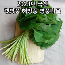 국내산 김해 생 머위순 머위잎 머위나물 산지직송, 김해 생 머위순 머위잎 머위나물 4kg