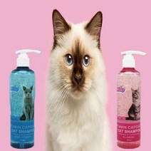 더캣츠 비타민캡슐 고양이샴푸 푸르메리아향 300ml, 1개입