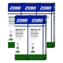 2080 자일리톨 치약 100g, 5개