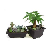 [도매상가] 분재 플라스틱 화분 그릇 사각 대형 분갈이 DIY 셀프 원예 인테리어 베란다 테라스 꾸미기, C타입
