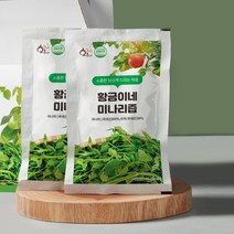 황금이네 미나리즙 대용량 2박스(100포), 100ml, 100개