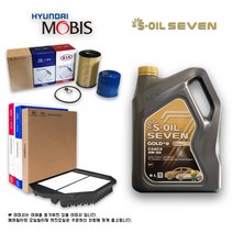 NF 쏘나타 트랜스폼 3.3 가솔린 세븐골드 합성유 세트