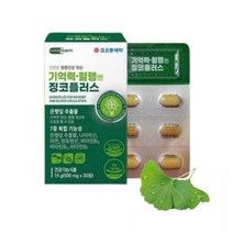 혈액순환 기억력 징코플러스 은행잎추출물 뇌 영양제