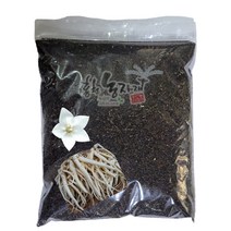 백도라지씨앗 50g/100g/200g/500g/600g/1kg/국내산 백도라지 종자, 50g