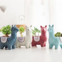 아침향기 도자기 세라믹 미니 화분 다육식물 다육이 알파카 화분 A타입, 레드