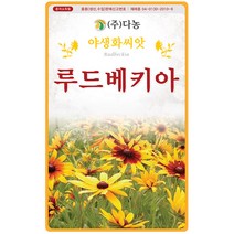 루드베키아씨앗 1000립 에키네시아 야생화종자 꽃씨 루드베키아꽃
