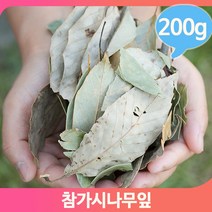토종 참가시나무 푸른잎 200g 약초 명초 건조 영양