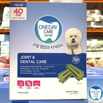 원데이케어 애견관절 치석케어 40개, 단품