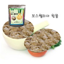 프리미엄 보스웰리아 청정지역에서 자란 보스웰리아 원물 !! 당일발송!!, 1개, 500g