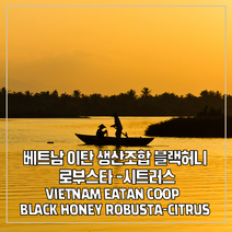 (커피생두) 138 베트남 이탄 생산조합 블랙허니 로부스타-시트러스 500g, 1개