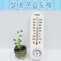 벽걸이 아날로그 플라스틱 온습도계 수은온도계, 더 바른 1