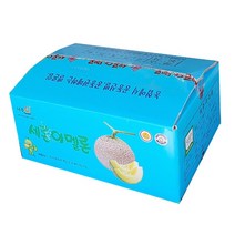 세론이 메론5kg 고당도12브릭스 나주멜론, 5개입