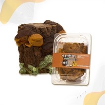 셀러허브 식품 [송일품] 말린 상황버섯 원물 건재 먹는법 50g 1개, 송일품약용버섯이 엄선한 상황버섯