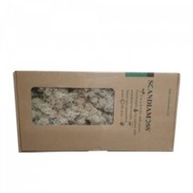 천연이끼 스칸디아모스 네츄럴(150g) - 공기정화 기능 관리쉽고 그늘에서도 잘 자라는 인테리어 식물 취미 원데이 클래스 디퓨저 화분 만들기(4개 이상 주문배송)