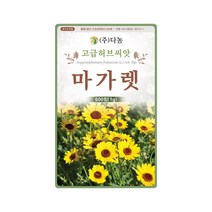 허브씨앗 마가렛 씨앗 600립 마거리트 금황꽃 다년초, 단품