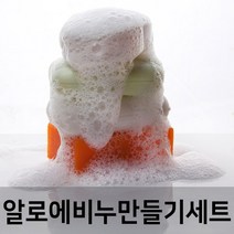엔피솝 알로에 비누 만들기세트 (1kitX5ea) 천연수제비누 만들기