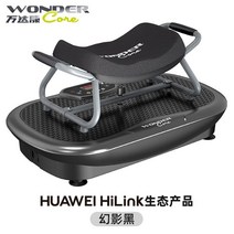 덜덜이 헬스장 바디 운동기구 쉐이크보드 진동 전신, C