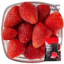 [딜라잇가든]냉동 딸기(칠레산) 1kg, 1개
