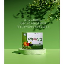 일회용 위생장갑 항균 비닐장갑 50매 100매 200매 400매, 녹차항균위생 장갑(50매)